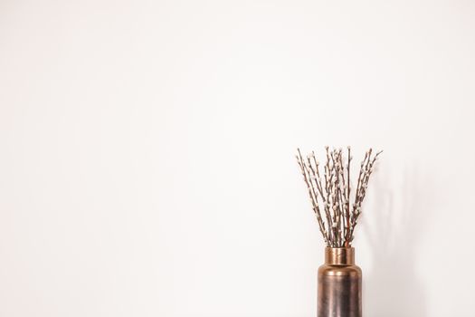 Twigs with buds in a vase against the white wall. Concept of early spring, March, nature awakening or anticipation of warm season