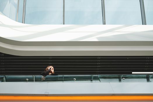 Woman talks on the phone at public place. Young female adult using smartphone at a shopping mall or airport, view from below