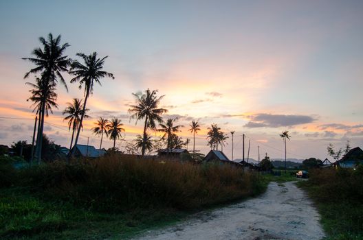 Sunset of little Malays village surrounded by coconut trees at Penang, Malaysia, Southeast Asia.