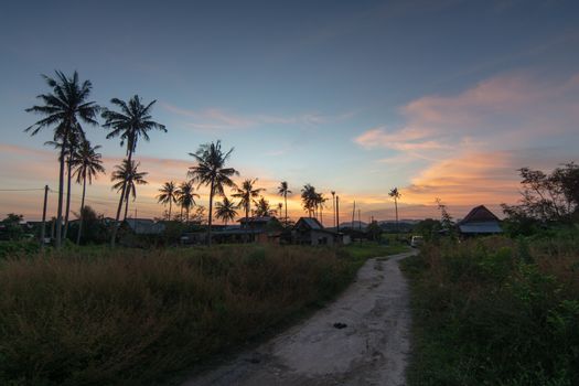 Kampung house at Malaysia with surrounded by coconut during sunset hour.