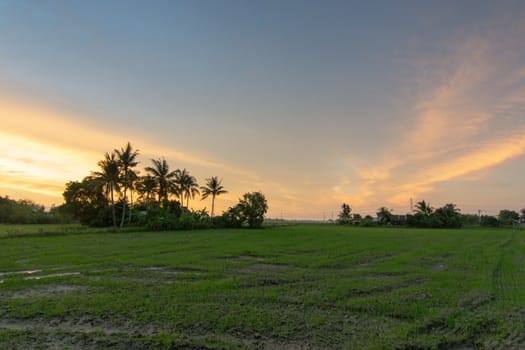 Scenic view over field during sunset at Bukit Mertajam, Penang.