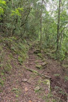 View of the Ottos Walk trail near Mahai in the Drakensberg