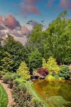 Beautifully landscaped public garden with a lake