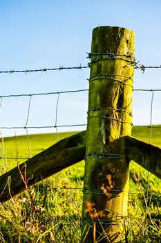 Fence line, the typical wood post and barbed wire barrier UK