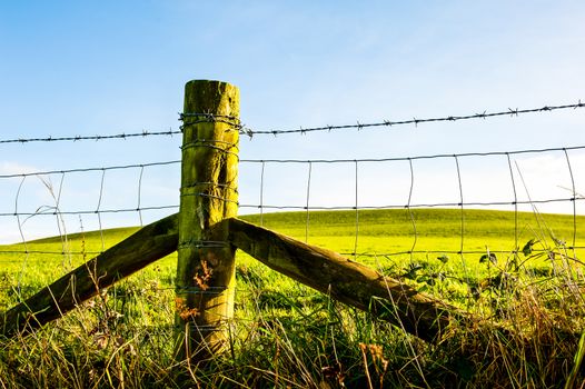Fence line, the typical wood post and barbed wire barrier UK