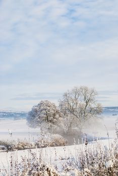 a simple background landscape with snow covered fields and distant trees half obscured by mist UK