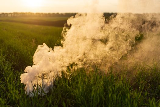 The white smoke in grass against evening sun. 