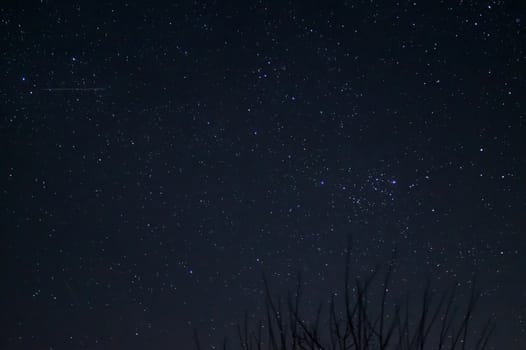 Long exposure night photo. A lot of stars with trees on foreground. Far from the city.