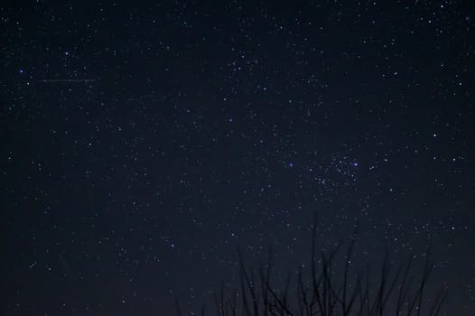 Long exposure night photo. A lot of stars with trees on foreground. Far from the city.