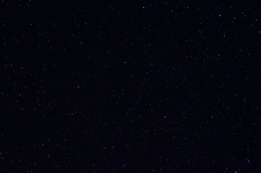 Long exposure night photo. A lot of stars with trees on foreground. Far from the city.