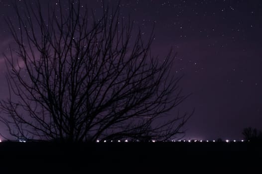 Long exposure night photo. A lot of stars with trees on foreground. Far from the city.