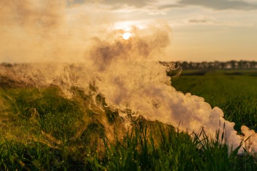 The white smoke in grass against evening sun. Golden time.