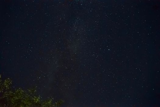 Long exposure night photo. A lot of stars with a lot of constellations. Nebula in sky with tree branch in frame. Night landscape with soft noise effect.