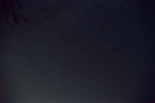 Long exposure night photo. A lot of stars with a lot of constellations. Nebula in sky with tree branch in frame. Night landscape with soft noise effect.