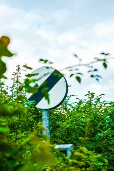 National Speed Limit Sign, overgrown with brambles