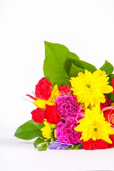 bright coloured flowers isolated on white background UK