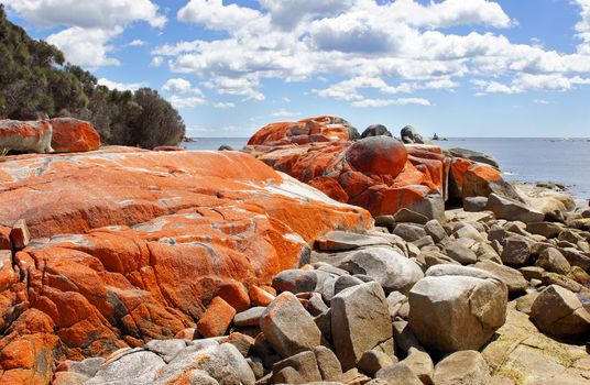 Bay of Fires, one of the most beautiful beaches of the world, Tasmania, Australia