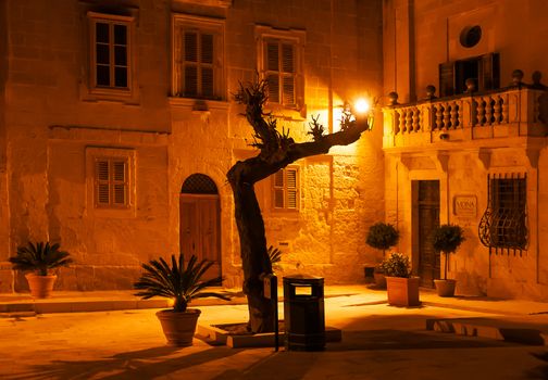 Illuminated streets of Mdina, ancient capital of Malta. Night view on buildings and wall decorations of ancient town.
