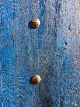 Classic blue wooden background of old door with metal details.