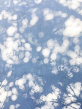 Lacy shadows from palm trees on the blue wall. Abstract background with a nice texture.