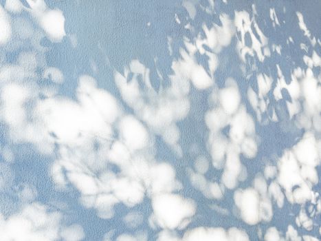 Lacy shadows from palm trees on the blue wall. Abstract background with a nice texture.