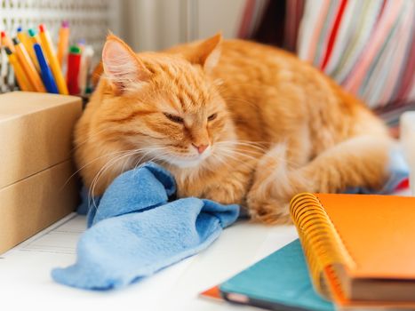 Cute ginger cat is sleeping among office supplies and sewing machine. Fluffy pet dozing on stationery. Cozy home background.