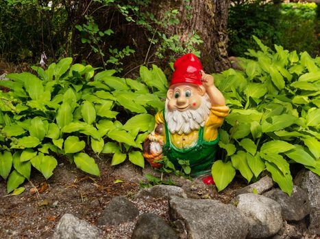 Garden gnome. Colorful sculpture in leaves of Hosta plant. Summer sunset in garden.