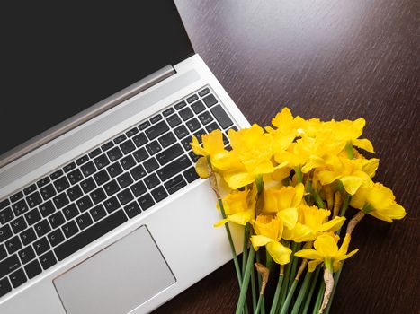 Bouquet of Narcissus or daffodils lying on silver metal laptop. Bright yellow flowers on portable device. Wooden background.