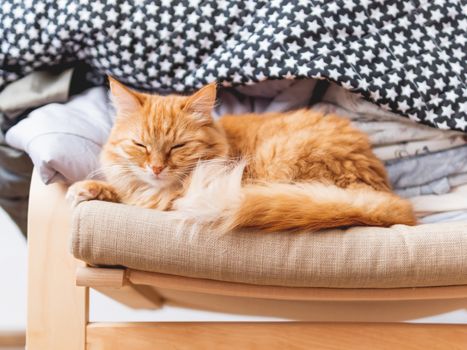 Cute ginger cat is lying on beige chair. Pile of crumpled clothes behind fluffy pet.