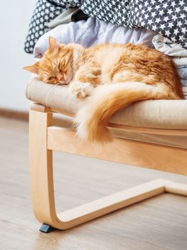 Cute ginger cat is lying on beige chair. Pile of crumpled clothes behind fluffy pet.