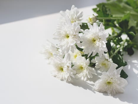 Bouquet of chrysanthemum flowers lying on white window sill. Sunny morning in cozy home.