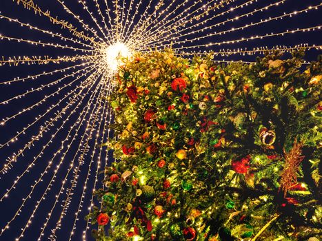 Bottom view on giant Christmas tree on Manezhnaya square in Moscow, Russia. Decorated fir tree for New Year celebration.