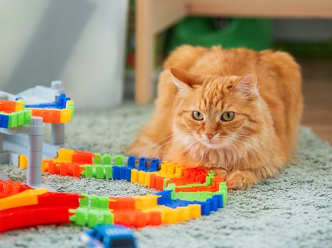 Cute ginger cat lying near toy car track. Fluffy pet in kid room. Cozy home.