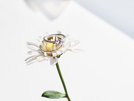 Pair of wedding and engagement rings with diamond on chamomile. Symbol of love and marriage on white flower.