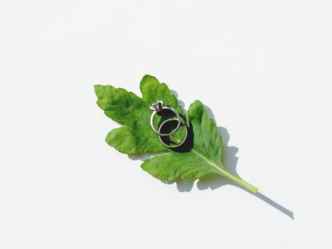 Pair of wedding and engagement rings with diamond on green leaf. Symbol of love and marriage on white background with copy space.