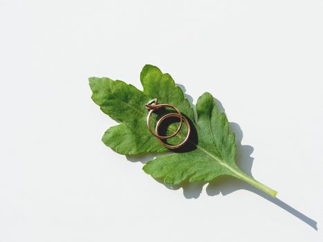 Pair of wedding and engagement rings with diamond on green leaf. Symbol of love and marriage on white background with copy space.