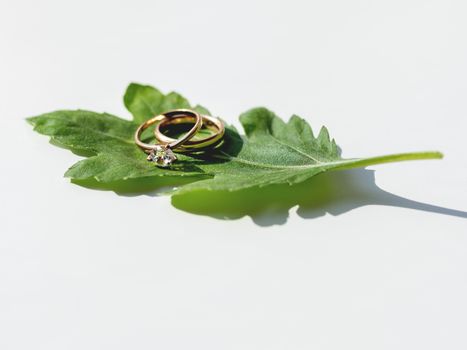 Pair of wedding and engagement rings with diamond on green leaf. Symbol of love and marriage on white background with copy space.
