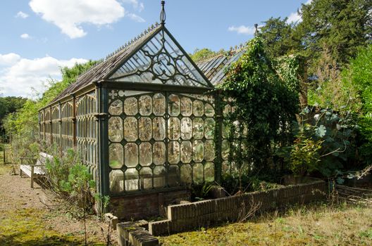 View of an old Victorian cast-iron greenhouse in an un-loved state.  Glass panes have been broken, the cast iron is cracking and the plants inside have grown leggy.