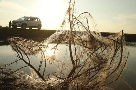 Scary Spider web