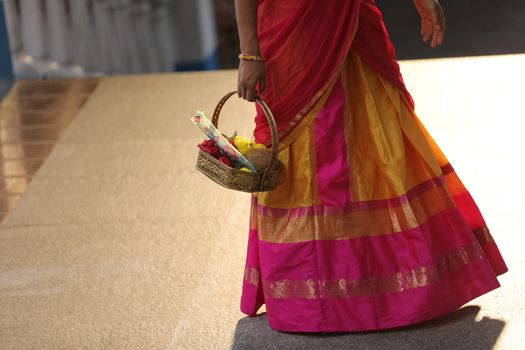 Indian Female in a Traditional Dress