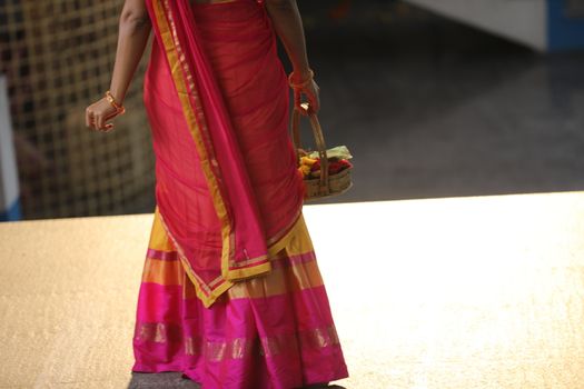 Indian Female in a Traditional Dress