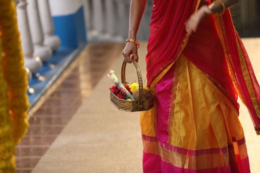 Indian Female in a Traditional Dress