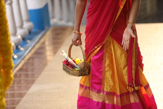 Indian Female in a Traditional Dress