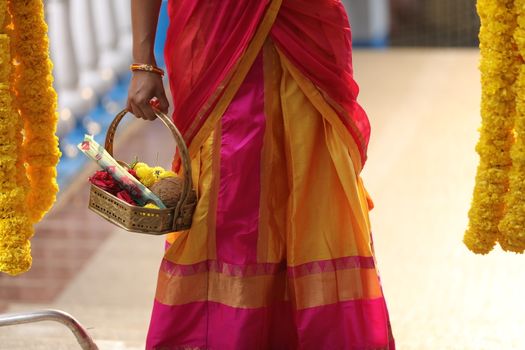 Indian Female in a Traditional Dress