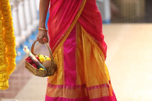Indian Female in a Traditional Dress