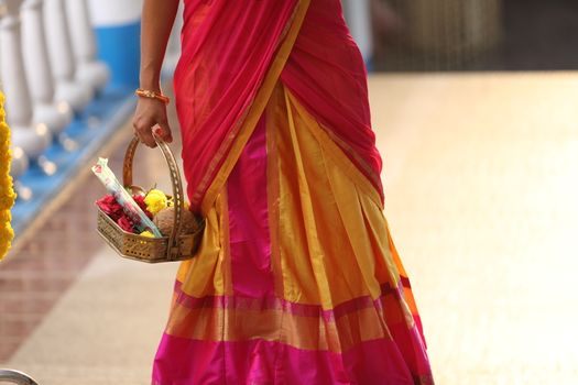 Indian Female in a Traditional Dress