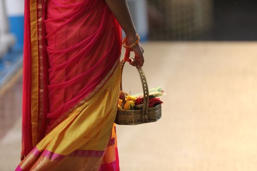 Indian Female in a Traditional Dress