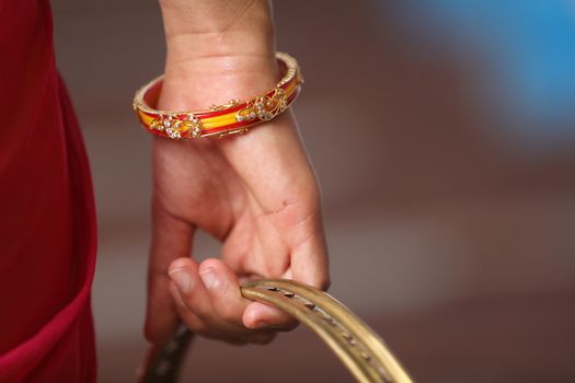 Indian Female in a Traditional Dress