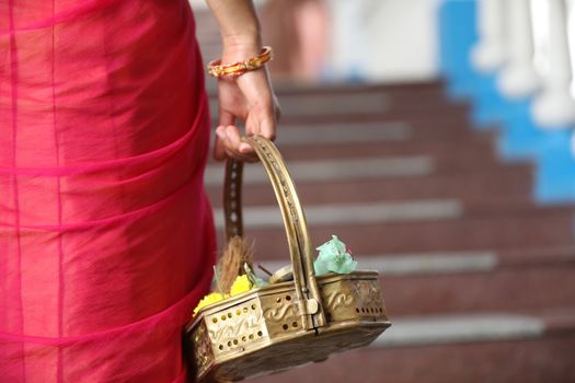 Indian Female in a Traditional Dress
