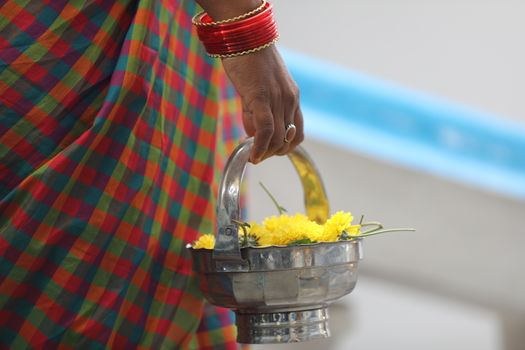 Indian Female in a Traditional Dress